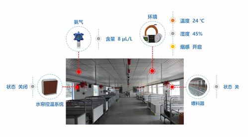 山東養(yǎng)豬場轉(zhuǎn)型升級 自動化控制與智能化豬舍管理系統(tǒng)的實踐